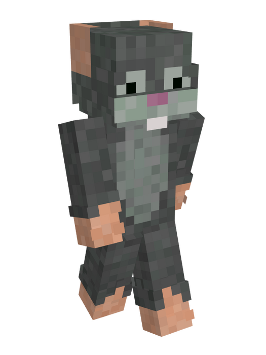 minecraft skin from name mc only
